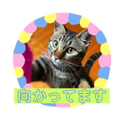 RIN_20181024130111