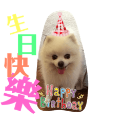 強強的日常3