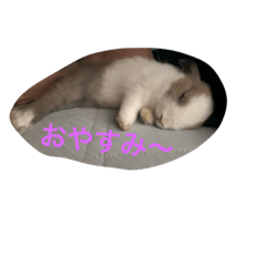 kurumi_20181024174811