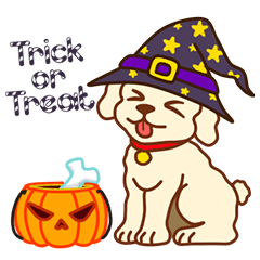 Halloween Poodle comes to the quail