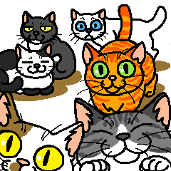 Various pretty cat's3