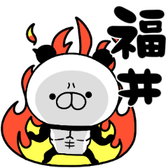 tanuchan FUKUI panda