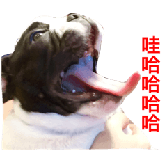 我是超可愛的法鬥本丸喔！