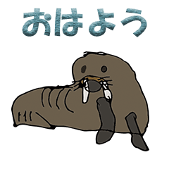 Polite japanese Walrus