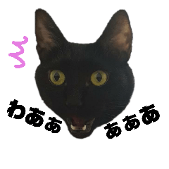 saori_20181024115152