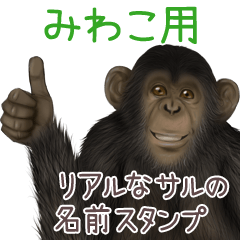 Miwako Monkey's real name Sticker