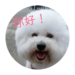 我是富貴（變化篇）