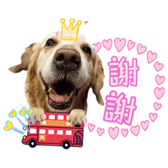 傻妞der四小福