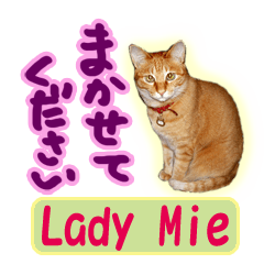 Tabby lady Mie's stickers.JP