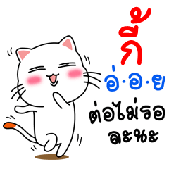 Name Gei V.Cat Cute