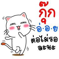 Name Kook V.Cat Cute