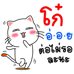 Name Koo V.Cat Cute