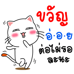 Name Kwan V.Cat Cute