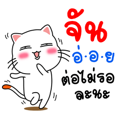 Name Jun V.Cat Cute