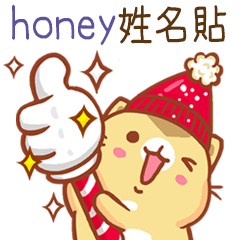 Niu Niu Cat-"honey"Q