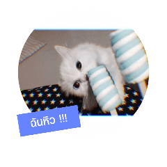 bella_
