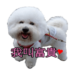 我是富貴