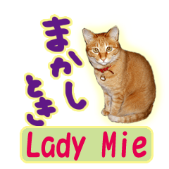 Tabby lady Mie's stickers.Kansaiben.
