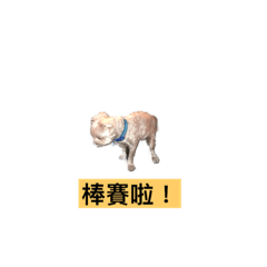我們都是神經病