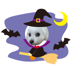 kie_20181024215658