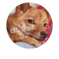 cocoa_20181025131759