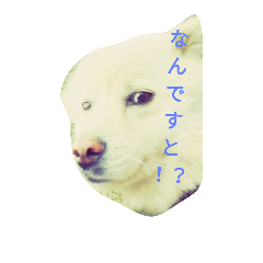 monmon_20181025142352