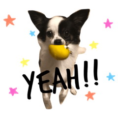 boo_20181025124037