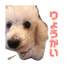 Rika_20181025160548