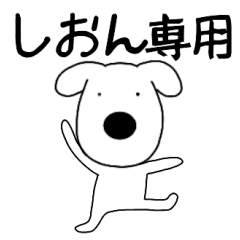Dog dog Shion