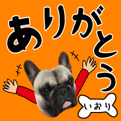 Iori of a dog Name sticker