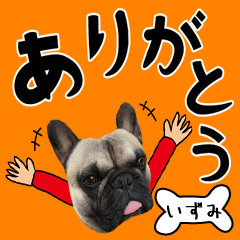 Izumi of a dog Name sticker