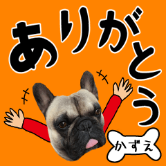 Kazue of a dog Name sticker