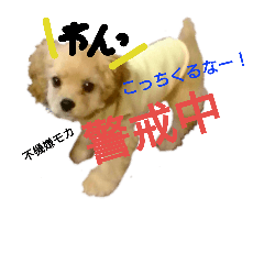 moka_20181023131940