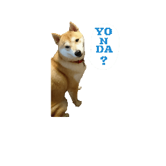 sally_20181025201203