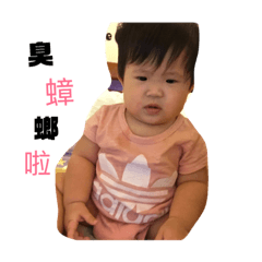 飯糰的日常any