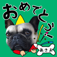 Akio of a dog Name sticker