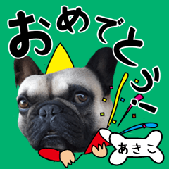 Akiko of a dog Name sticker