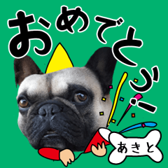 Akito of a dog Name sticker