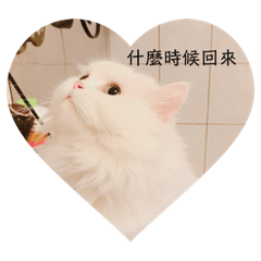 數饅頭等待
