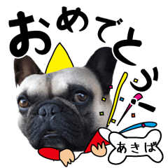 Akiba of a dog Name sticker