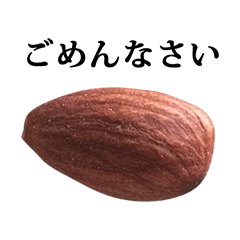 almond 2