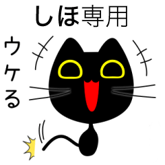 【しほ】専用の黒猫です
