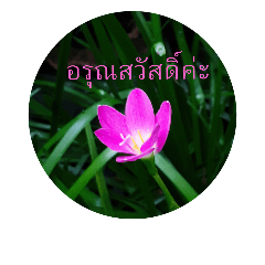 Thai language for women