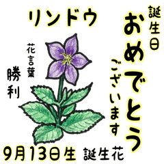 September Birth Flowers Flower Language Line Stickers Line Store