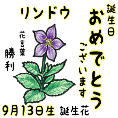 September,birth flowers,flower language