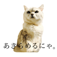 pi_20181025212814