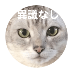 ayano_20181025212838
