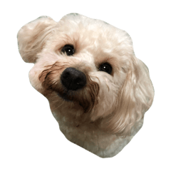 arisa_20181027005322