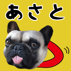 Asato of a dog Name sticker