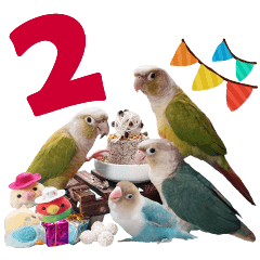 Delighted Parrots 2